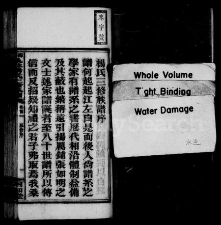 湖南杨氏族谱-桑林杨氏三修族谱 [13卷,首2卷].pdf电子版预览图4