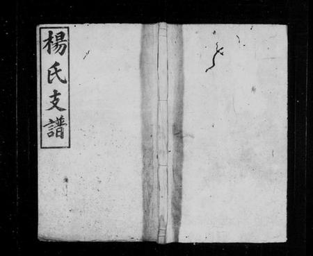 湖南杨氏族谱-杨氏三修支谱 [5卷,首2卷].pdf电子版预览图1