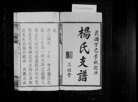 湖南杨氏族谱-杨氏三修支谱 [5卷,首2卷].pdf电子版预览图2