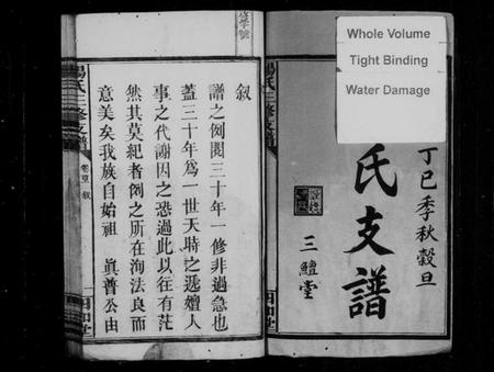 湖南杨氏族谱-杨氏三修支谱 [5卷,首2卷].pdf电子版预览图3