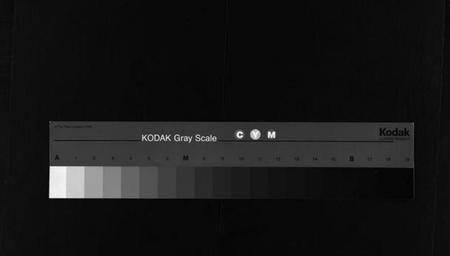 湖南杨氏族谱-杨氏五修宗谱 [13卷,含首2卷].pdf电子版缩略图