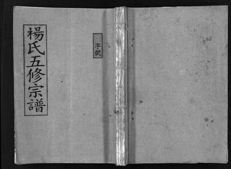 湖南杨氏族谱-杨氏五修宗谱 [13卷,含首2卷].pdf电子版预览图1