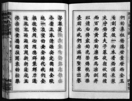 湖南杨氏族谱-杨氏五修宗谱 [13卷,含首2卷].pdf电子版预览图4