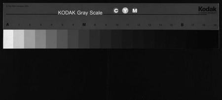 湖南杨氏族谱-杨氏五修族谱[14卷,首3卷].pdf电子版缩略图