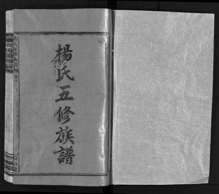 湖南杨氏族谱-杨氏五修族谱[14卷,首3卷].pdf电子版预览图2