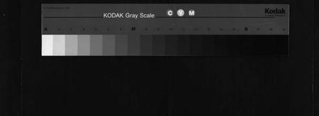 湖南杨氏族谱-杨氏五修谱牒[12卷,首1卷].pdf电子版缩略图