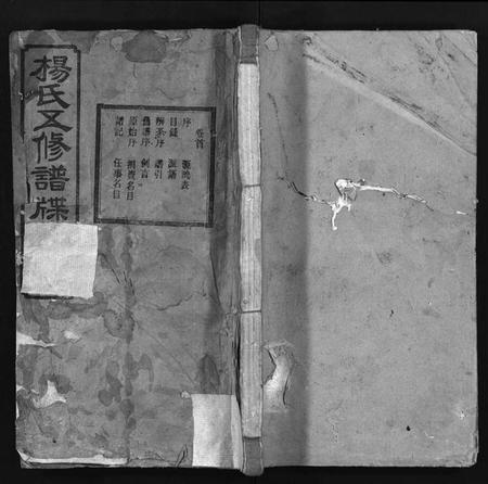 湖南杨氏族谱-杨氏五修谱牒[12卷,首1卷].pdf电子版预览图1