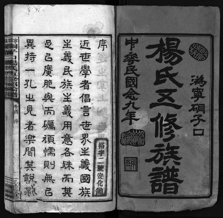 湖南杨氏族谱-杨氏五修谱牒[12卷,首1卷].pdf电子版预览图2