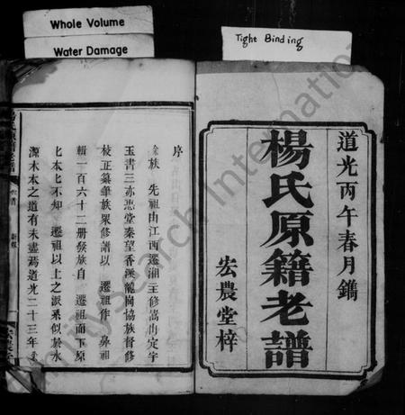 湖南杨氏族谱-杨氏原籍老谱 [卷数杂异].pdf电子版预览图2