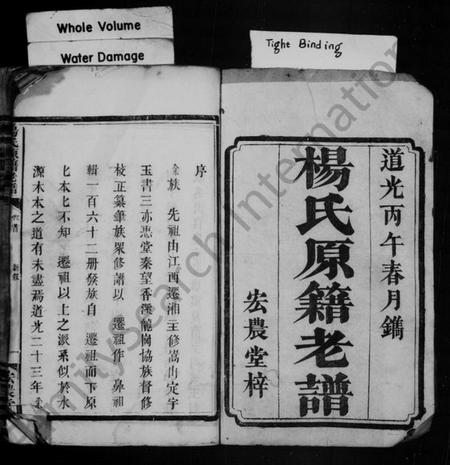 湖南杨氏族谱-杨氏原籍老谱 [卷数杂异].pdf电子版预览图3