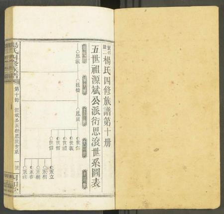 湖南未知族谱-杨氏四修族谱 [12册].pdf电子版预览图1