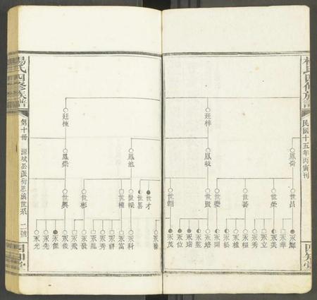湖南未知族谱-杨氏四修族谱 [12册].pdf电子版预览图2