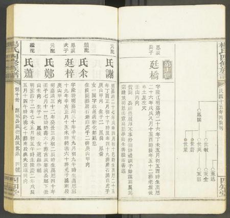 湖南未知族谱-杨氏四修族谱 [12册].pdf电子版预览图4