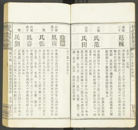 湖南未知族谱-杨氏四修族谱 [12册].pdf电子版预览图5