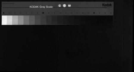 湖南杨氏族谱-杨氏四修族谱 [14卷,首3卷].pdf电子版缩略图