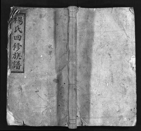 湖南杨氏族谱-杨氏四修族谱 [14卷,首3卷].pdf电子版预览图1