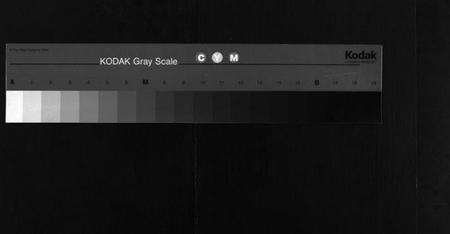 湖南杨氏族谱-杨氏四修族谱 [8卷,首1卷,末3卷].pdf电子版缩略图