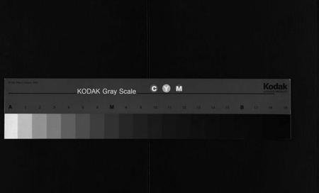 湖南杨氏族谱-杨氏大成族谱[27卷].pdf电子版缩略图