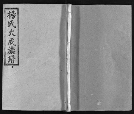 湖南杨氏族谱-杨氏大成族谱[27卷].pdf电子版预览图1