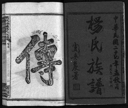 湖南杨氏族谱-杨氏大成族谱[27卷].pdf电子版预览图3