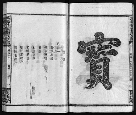 湖南杨氏族谱-杨氏大成族谱[27卷].pdf电子版预览图5