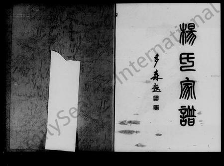 湖南杨氏族谱-杨氏家谱.pdf电子版预览图1