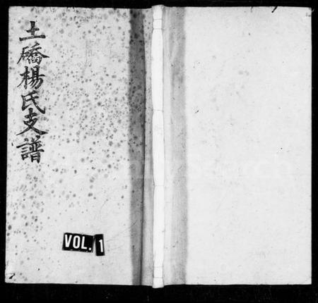 湖南杨氏族谱-杨氏支谱 [10卷,首2卷].pdf电子版预览图1