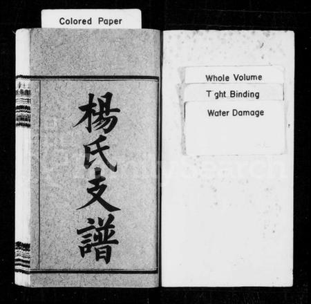 湖南杨氏族谱-杨氏支谱 [10卷,首2卷].pdf电子版预览图2