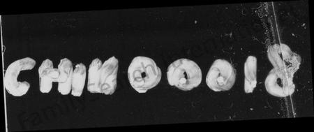 湖南杨氏族谱-杨氏族谱 [11卷,首2卷].pdf电子版预览图4