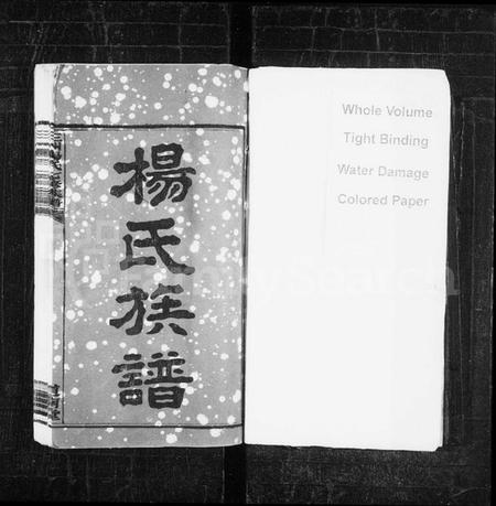 湖南杨氏族谱-杨氏族谱 [19卷,首1卷].pdf电子版预览图2