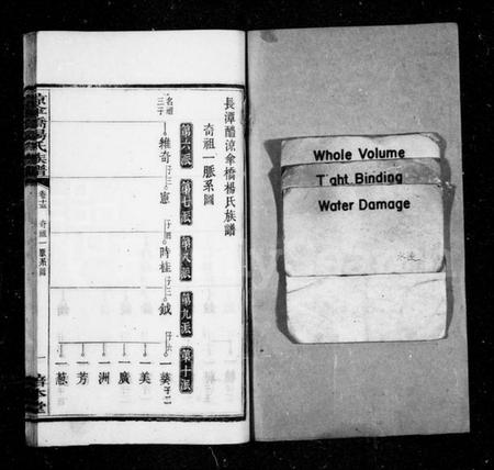 湖南杨氏族谱-杨氏族谱 [20卷].pdf电子版预览图2