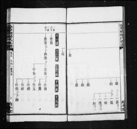 湖南杨氏族谱-杨氏族谱 [20卷].pdf电子版预览图4