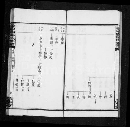 湖南杨氏族谱-杨氏族谱 [20卷].pdf电子版预览图5