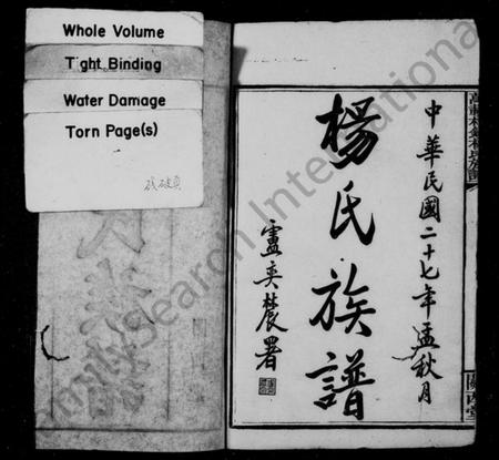 湖南杨氏族谱-杨氏族谱 [23卷,及卷首].pdf电子版预览图2