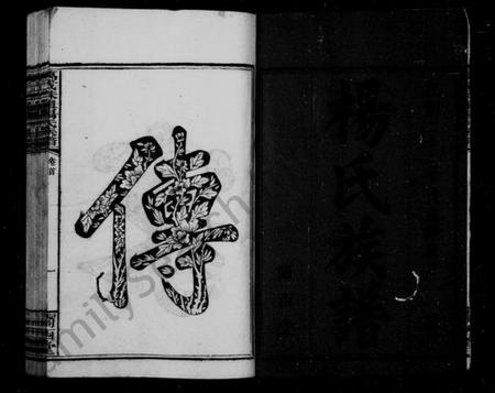 湖南杨氏族谱-杨氏族谱 [23卷,及卷首].pdf电子版预览图4