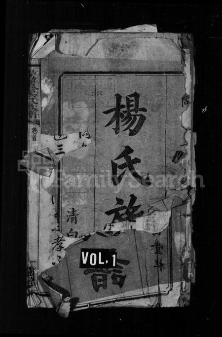 湖南杨氏族谱-杨氏族谱 [23卷,首末各1卷].pdf电子版预览图1