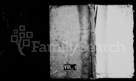 湖南杨氏族谱-杨氏族谱 [8卷].pdf电子版预览图1