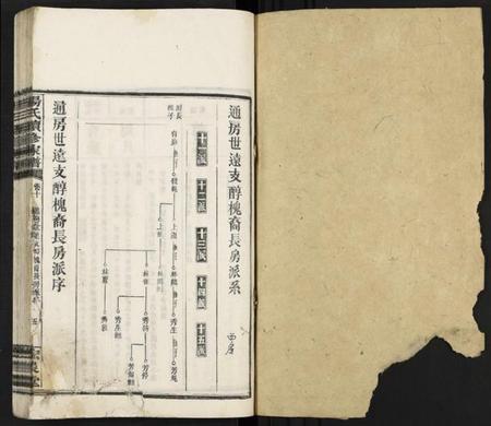 湖南杨氏族谱-杨氏续修家谱 [13卷].pdf电子版预览图1