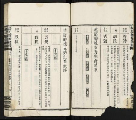 湖南杨氏族谱-杨氏续修家谱 [13卷].pdf电子版预览图4