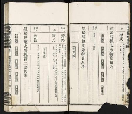 湖南杨氏族谱-杨氏续修家谱 [13卷].pdf电子版预览图5