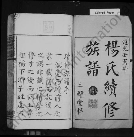 湖南杨氏族谱-杨氏续修族谱 [14卷,首末各1卷].pdf电子版预览图2