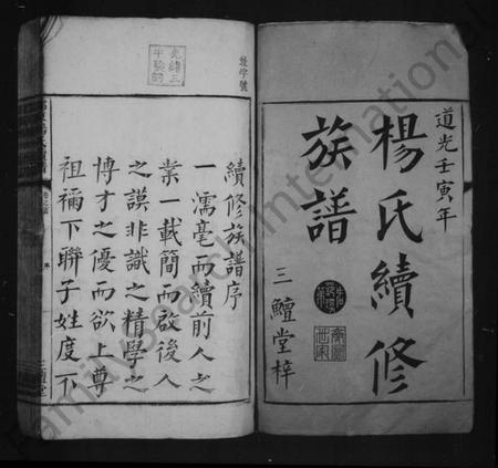 湖南杨氏族谱-杨氏续修族谱 [14卷,首末各1卷].pdf电子版预览图3