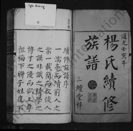 湖南杨氏族谱-杨氏续修族谱 [14卷,首末各1卷].pdf电子版预览图4