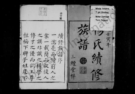 湖南杨氏族谱-杨氏续修族谱 [14卷,首末各1卷].pdf电子版预览图3