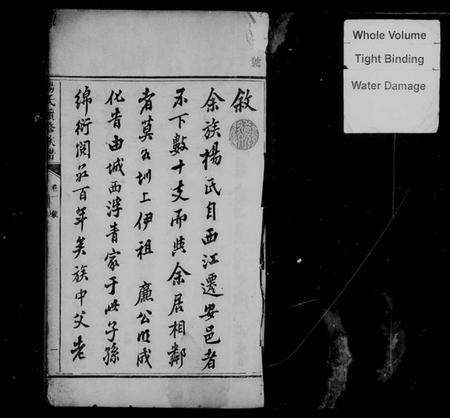 湖南杨氏族谱-杨氏续修族谱 [4卷].pdf电子版预览图2