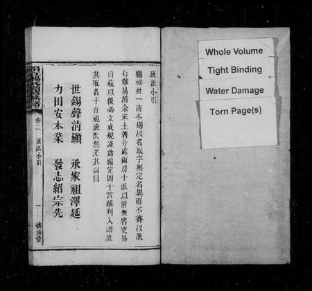 湖南杨氏族谱-涓江杨氏续修族谱 [8卷].pdf电子版预览图2