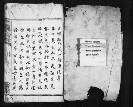 湖南杨氏族谱-浏东杨氏族谱 [不分卷].pdf电子版预览图2