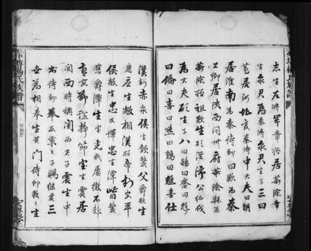 湖南杨氏族谱-浏东杨氏族谱 [不分卷].pdf电子版预览图4