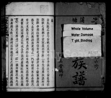 湖南杨氏族谱-蒲塘杨氏族谱 [60卷,首9卷].pdf电子版预览图4