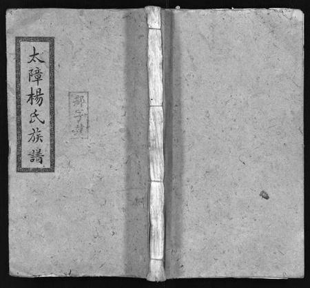 湖南杨氏族谱-醴南太障杨氏四修族谱 [50卷].pdf电子版预览图1